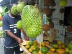 Soursop.JPG