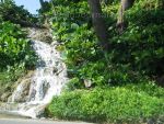 Natural_Waterfalls_by_the_roadside_in_Yallahs.JPG